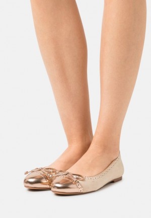 Dámské Baleríny Anna Field Ballet Pumps Béžový | FCNJ-67413