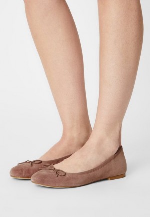 Dámské Baleríny Anna Field Læder Ballet Pumps Šedé Hnědé | XQLJ-45610