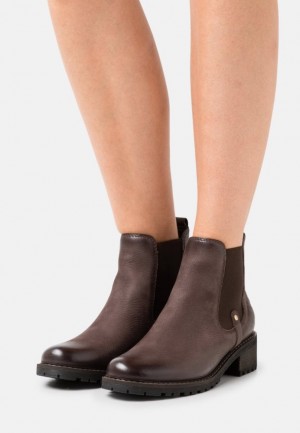 Dámské Kotníkové Boty Anna Field Læder Ankle Boots Tmavě Hnědé | RPSW-18267