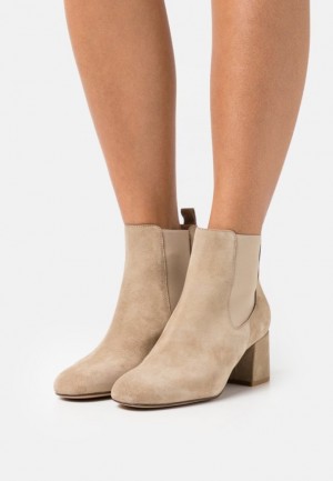 Dámské Kotníkové Boty Anna Field Læder Classic Ankle Boots Béžový | GUAF-38975
