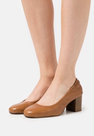 Dámské Lodičky Anna Field Læder Classic Heels Hnědé | WMZC-91284