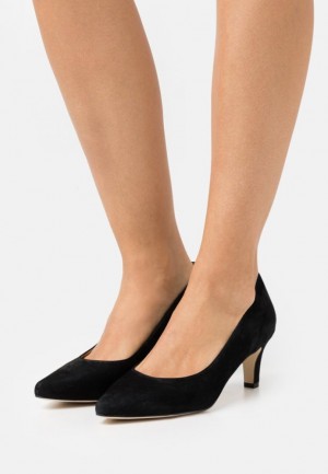 Dámské Lodičky Anna Field Læder Pohodlí Classic Heels Černé | XTJY-03284