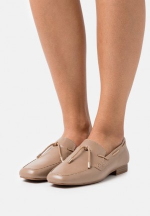 Dámské Nízká Boty Anna Field Slip Ons Šedé Hnědé | WTSY-95437