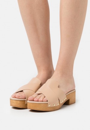 Dámské Pantofle Anna Field Læder Clogs Béžový | QPGZ-89310