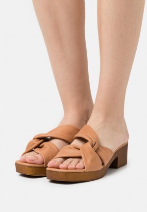 Dámské Pantofle Anna Field Læder Clogs Hnědé | ALCS-23685