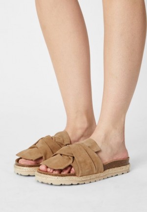 Dámské Pantofle Anna Field Pohodlí Læder Slippers Béžový | BOVW-41350