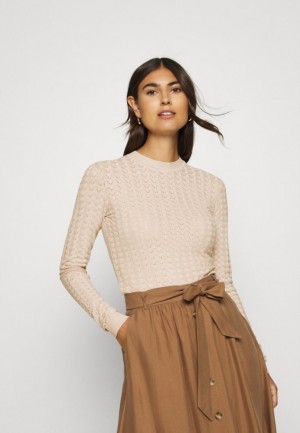 Dámské Pulovr Anna Field Jumper Hnědé | FWXY-75230