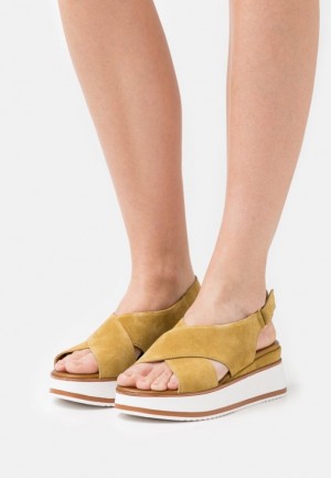 Dámské Sandály Anna Field Læder Platformy Sandals Hnědé | QXKI-93780