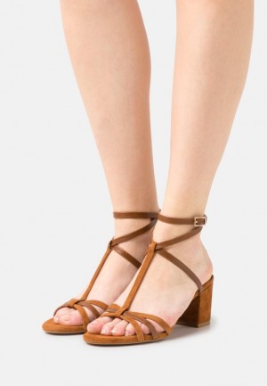 Dámské Sandály Anna Field Læder Sandals Hnědé | VLUS-15936