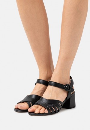 Dámské Sandály Anna Field Læder Sandals Černé | DZKR-23461