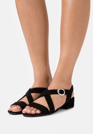 Dámské Sandály Anna Field Læder Sandals Černé | APOU-85361