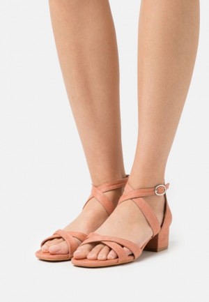 Dámské Sandály Anna Field Pohodlí Sandals Koralove | AGKC-09457