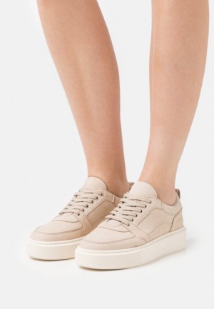 Dámské Tenisky Anna Field Læder Trainers Šedé Hnědé | IKFV-30489