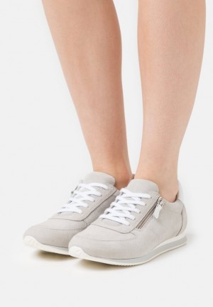 Dámské Tenisky Anna Field Pohodlí Læder Trainers Béžový | YHQD-79148