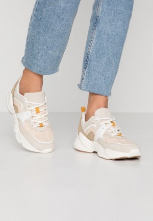 Dámské Tenisky Anna Field Trainers Béžový | XCQW-38597